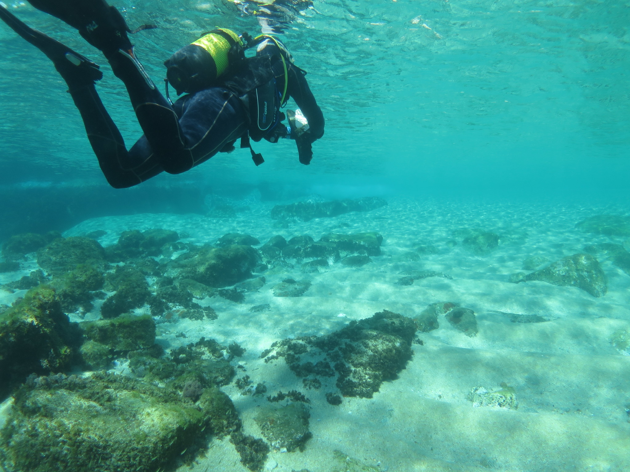 UK Schools Find the Costa Brava Very Fishy Oyster Diving Trip